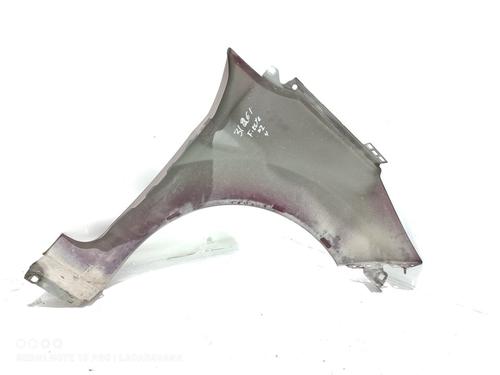 Left front fenders FORD FIESTA VI (CB1, CCN) 1.6 TDCi | BP19428566C41 