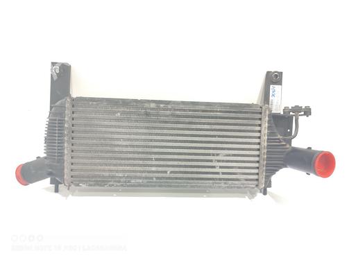 Intercooler NISSAN PATHFINDER III (R51) 2.5 dCi 4WD (171 hp) 16505522