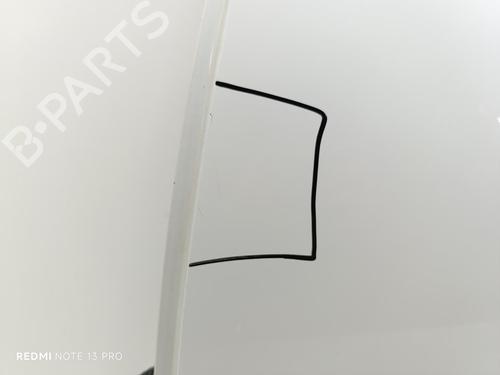 Left rear door DACIA SANDERO II  | BP23461023C4