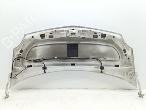 Hood RENAULT KANGOO / GRAND KANGOO II (KW0/1_) 1.5 dCi 70 (KW0V, KW0A) | BP24922818C1 