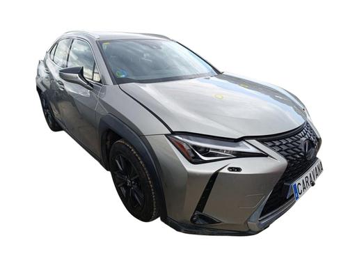 Brugte LEXUS UX (_AA1_, _AH1_, _MA1_) 250h (MZAH10) (184 hp) 2095988