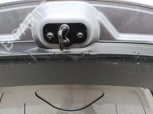 Hood TESLA MODEL Y (5YJY)  | BP29720817C1 