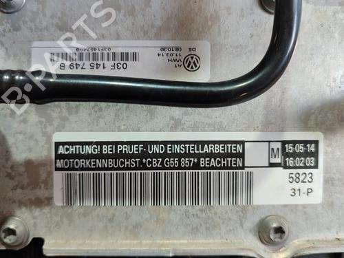 Engine SEAT IBIZA IV (6J5, 6P1)  | BP29350434M1 