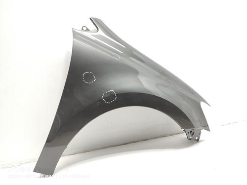 Right front fenders VW POLO V (6R1, 6C1)  | BP24621389C42 