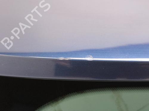 Tailgate RENAULT MEGANE IV Hatchback (B9A/M/N_) 1.5 dCi 110 (B9A3) | BP21125033C6 