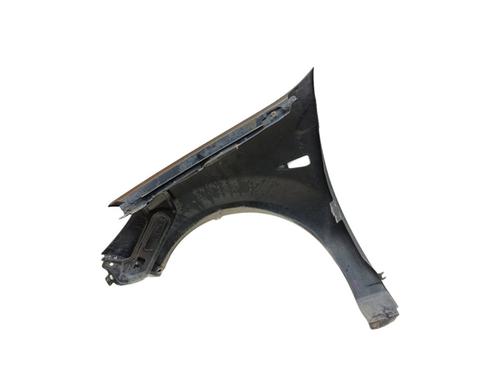 Right front fenders DACIA SANDERO  | BP29483986C42 