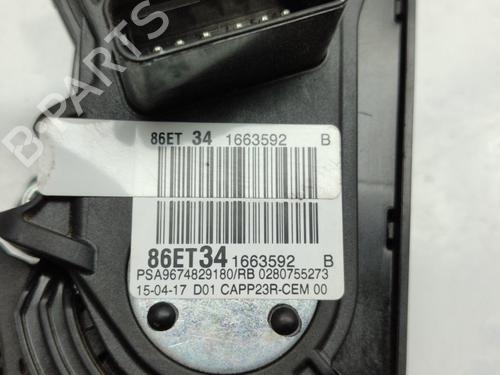 Pedal PEUGEOT 308 SW II (LC_, LJ_, LR_, LX_, L4_) 1.6 BlueHDi 120 | BP17714197I4