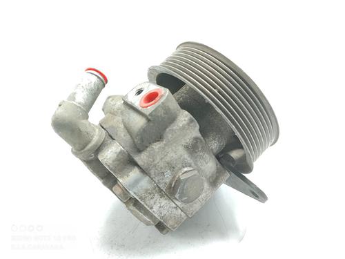Styring servopumpe LAND ROVER DISCOVERY III (L319) 2.7 TD 4x4 | BP16506096M99 