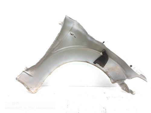 Left front fenders NISSAN PATHFINDER III (R51) 2.5 dCi 4WD | BP16505515C41 