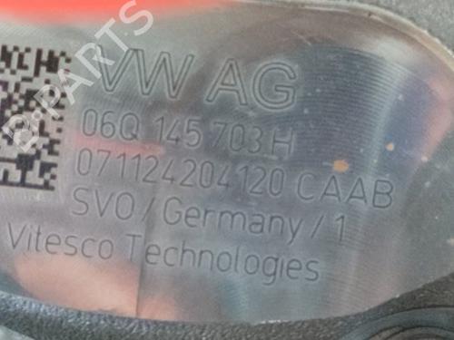 Engine VW GOLF VIII (CD1, DA1) 2.0 TSI R 4motion | BP29512321M1 