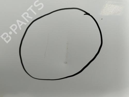 Hood LAND ROVER FREELANDER 2 (L359) 2.2 TD4 4x4 | BP29247005C1