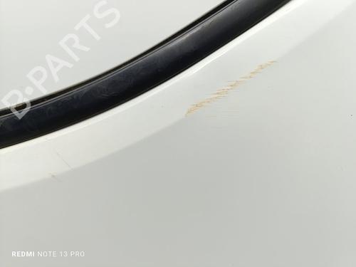 Left front door IVECO DAILY IV Van  | BP31339634C2 