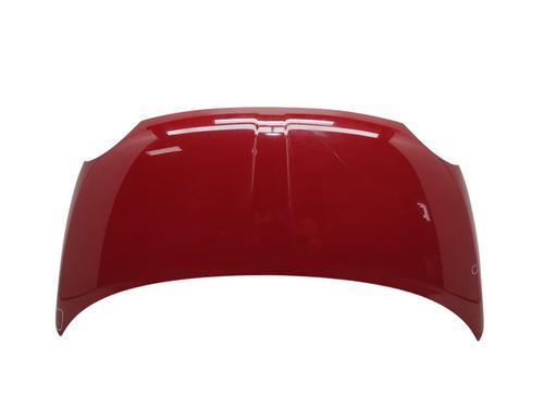 Used Hood FIAT 500 (312_) [2007-2025]  23443910