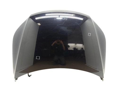 Motorhjelm VW TIGUAN (5N_) [2007-2018]  24937381