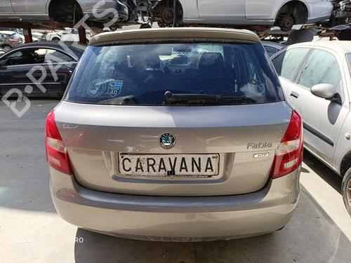 Engine SKODA FABIA II (542) | BP20113025M1