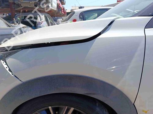 Guarda-lamas esquerdo Guarda-lamas esquerdo NISSAN JUKE (F16_) DIG-T 117 (117 hp) 36259260 36259260