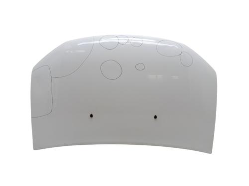 Panser Panser DACIA SANDERO II [2012-2026] 32778902 32778902