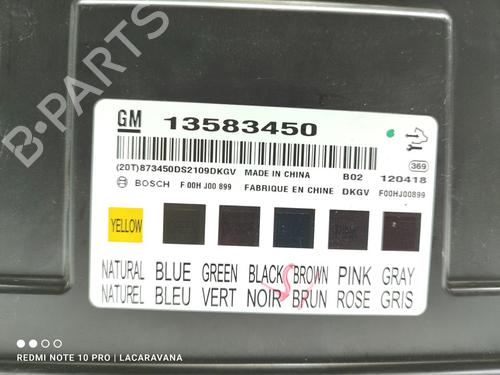 Electronic module CHEVROLET ORLANDO (J309) 2.0 D | BP20296875M83 