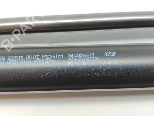 Tailgate lift support RENAULT CLIO IV (BH_)  | BP20296788C138 