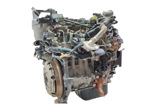 Engine FORD FIESTA VI (CB1, CCN)  | BP29124698M1 