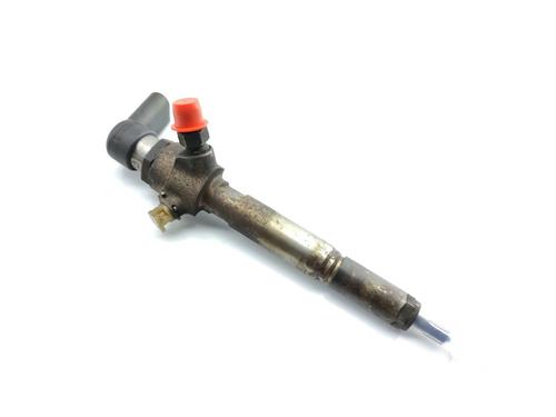 Injector RENAULT SCÉNIC III (JZ0/1_) 1.5 dCi (106 hp) H8200294788 | H8200294788 |