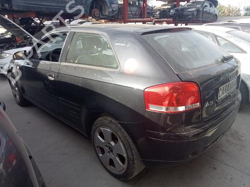  - Image 7