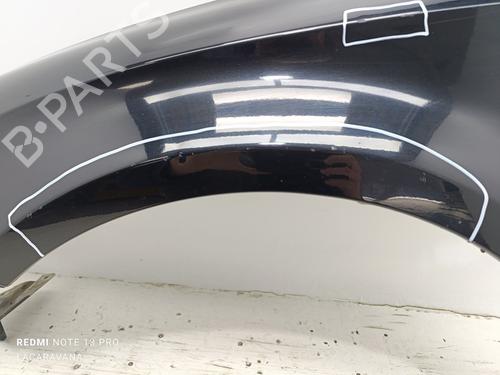 Left front fenders SEAT LEON (1P1) 2.0 TDI 16V | BP21360642C41 