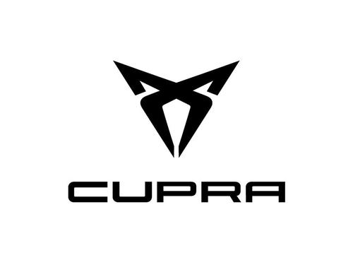 Brugte CUPRA FORMENTOR (KM7, KMP) [2020-2025]  4268648