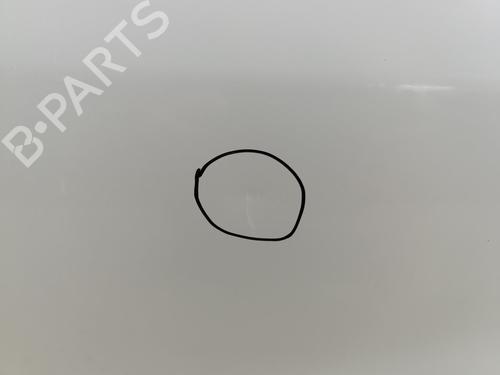 Dør højre fortil DACIA DUSTER (HM_) 1.6 SCe 115 (HMM1) | BP23065843C3 