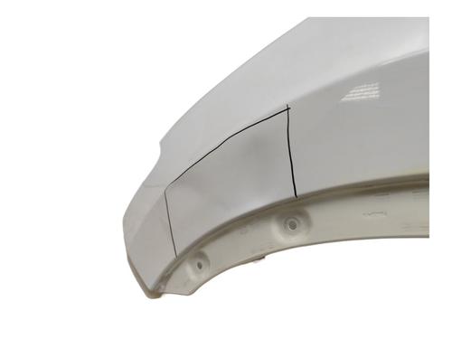 Left front fenders NISSAN QASHQAI I (J10, NJ10)  | BP23066343C41