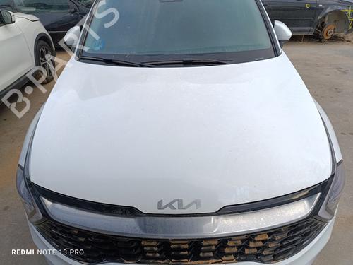 Used Hood KIA SPORTAGE V (NQ5) [2021-2025]  29727827