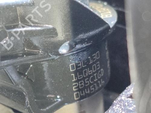 Engine VW TRANSPORTER T6 Van (SGA, SGH, SHA, SHH)  | BP29512317M1 