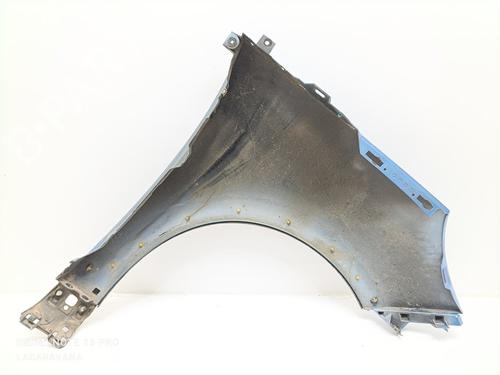 Left front fenders RENAULT SCÉNIC III (JZ0/1_) 1.2 TCe (JZ16) | BP21591056C41 