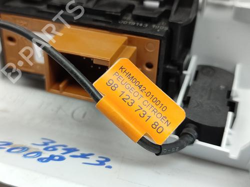 Interior roof light PEUGEOT 2008 I (CU_)  | BP29970247I8 