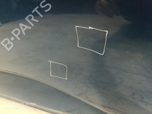 Left rear door RENAULT MEGANE IV Hatchback (B9A/M/N_)  | BP19404874C4 