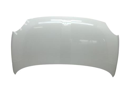 Motorhjelm FIAT 500 (312_) [2007-2025]  23565084