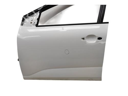 Left front door DACIA SANDERO III  | BP23065811C2 