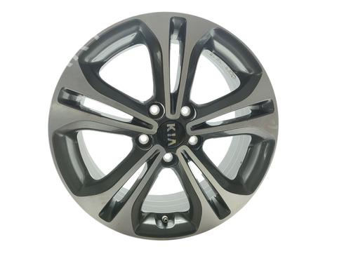 BP33049766C45 main image