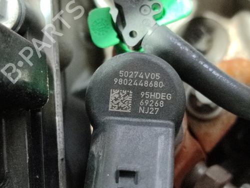 Engine FORD C-MAX II (DXA/CB7, DXA/CEU)  | BP29512318M1 