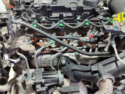 Engine FORD FIESTA VI (CB1, CCN)  | BP29124698M1 