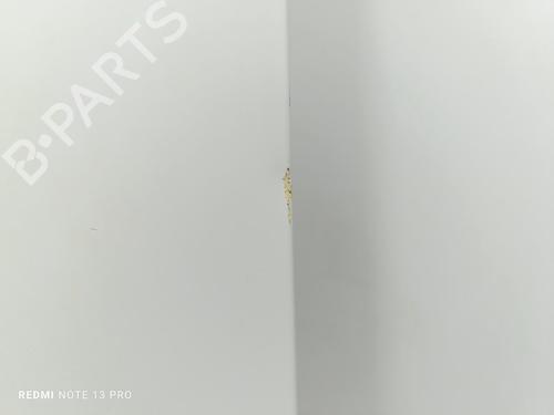 Left front door IVECO DAILY IV Van  | BP31339634C2 