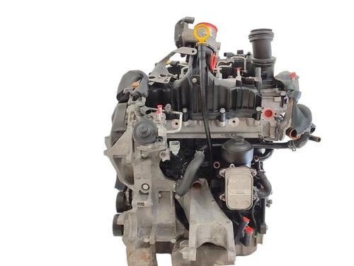Used Engine VW TRANSPORTER T6 Van (SGA, SGH, SHA, SHH) [2015-2024]  29512317