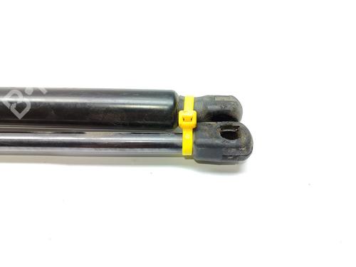 Tailgate lift support CITROËN C4 Picasso II  | BP20495253C138 