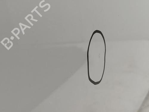 Hood CITROËN C3 III (SX)  | BP29721007C1 