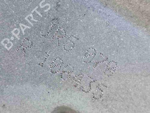 Gearbox RENAULT CLIO V (B7_) 1.0 TCe 100 (B7MT) | BP40097884M3 - Image 2