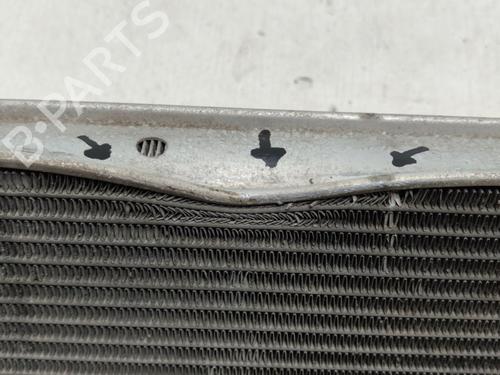 Water radiator VW GOLF VI Convertible (517)  | BP17946390M31