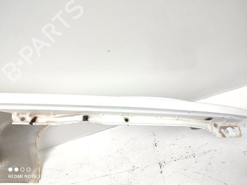 Left front fenders NISSAN PATHFINDER III (R51) 2.5 dCi 4WD | BP16505515C41 