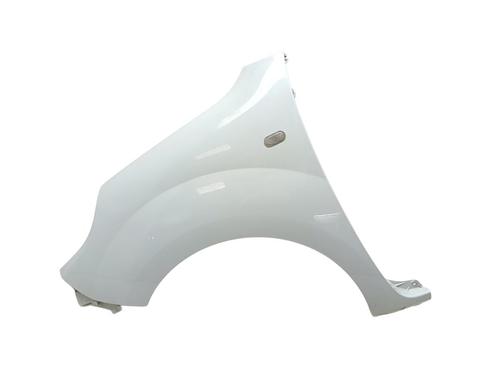 Used Left front fenders RENAULT KANGOO / GRAND KANGOO II (KW0/1_) [2008-2025]  28523558