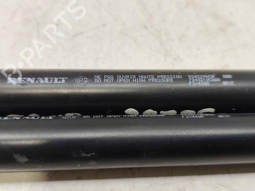 Tailgate lift support DACIA SANDERO II  | BP27206422C138