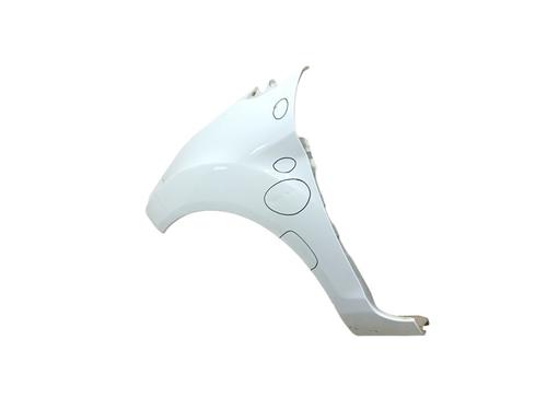 Left front fenders FORD FIESTA VI (CB1, CCN) 1.5 TDCi | BP30709850C41 